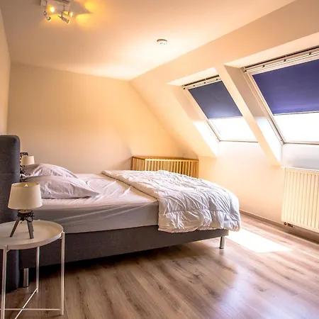 Maison Remi - 12 Pers & Hotspa In The Garden Коксейде